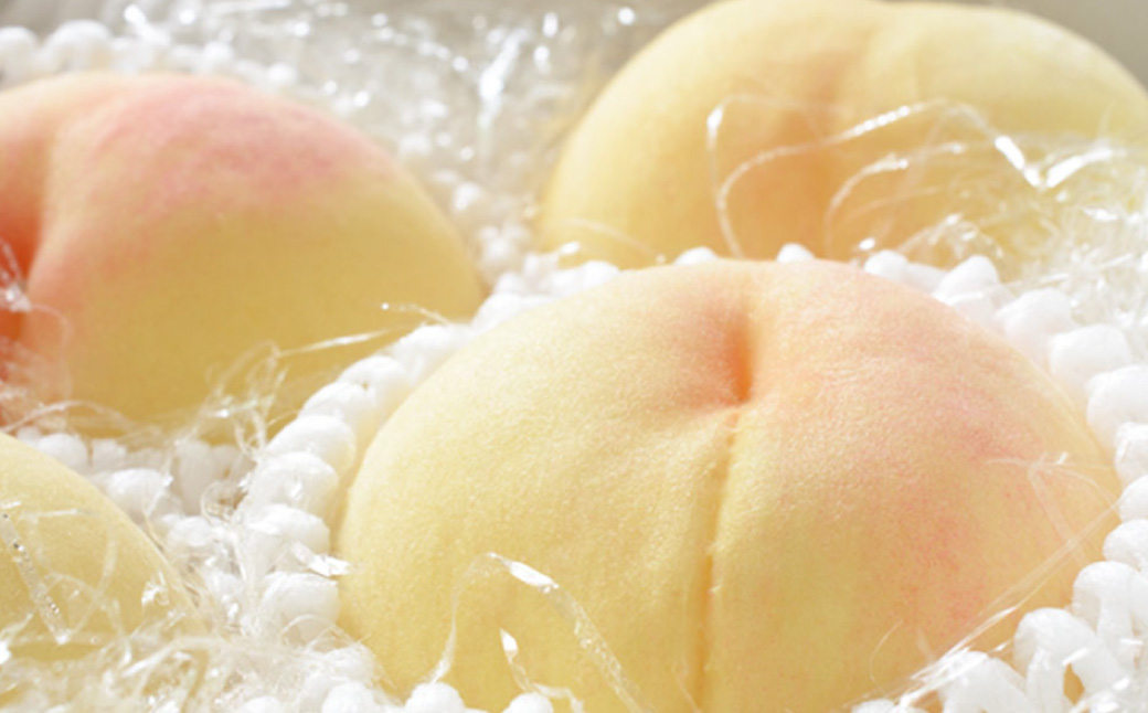 岡山県産 旬の白桃 6玉 （計1.6kg以上）【2025年7月上旬～8月上旬迄発送予定】 化粧箱入り 果物 くだもの フルーツ 桃 もも モモ 白桃 旬 岡山 おかやま 国産 冷蔵