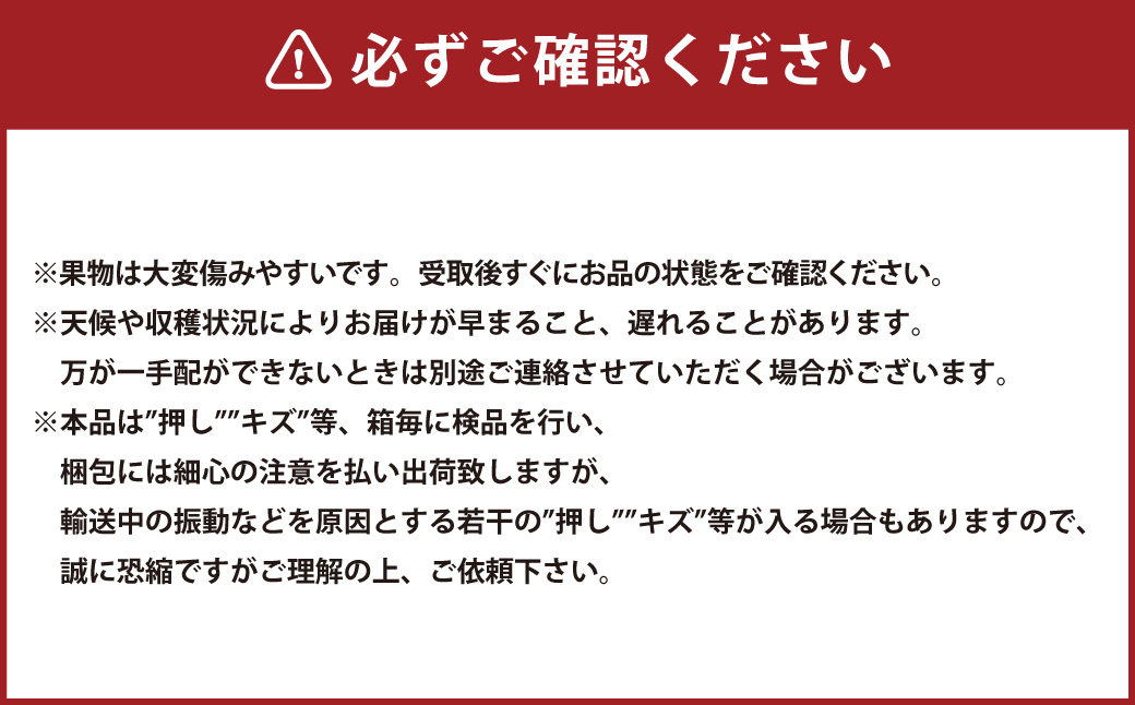 岡山県産 ニューピオーネ 2房 （1房480g以上） 約1kg 化粧箱入り 【2025年8月下旬～10月上旬迄発送予定】 果物 くだもの フルーツ ぶどう ブドウ 葡萄 岡山 おかやま 国産 冷蔵