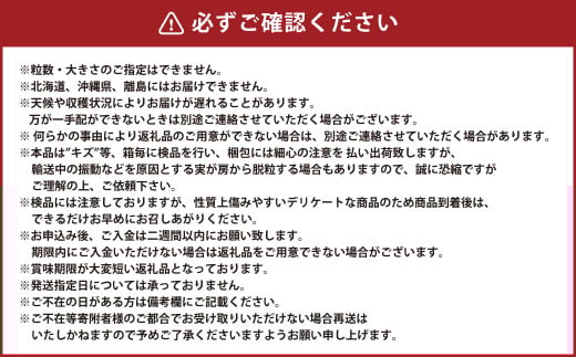 岡山県産 シャインマスカット 晴王 1房 約600g 【2025年8月上旬～10月上旬迄発送予定】 岡山 大粒 たねなし マスカット 果物 くだもの フルーツ ぶどう ブドウ 葡萄 種無し 種なし