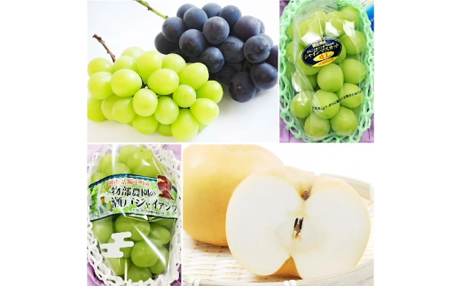 【4回定期便】シャインマスカット・ニューピオーネ・瀬戸ジャイアンツ・あたご梨 【2025年9月上旬より順次発送開始】 果物 くだもの フルーツ ぶどう ブドウ 葡萄 マスカット 種なし 梨 なし 冷蔵 国産
