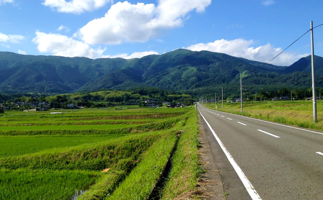 【返礼品なし】岡山県奈義町の取り組みを全国へ！奈義町で行う『少花粉スギ・ヒノキ』植樹を応援してくださる皆さまからの温かいご支援をよろしくお願いいたします。 寄附のみ 岡山県 奈義町 寄附 応援