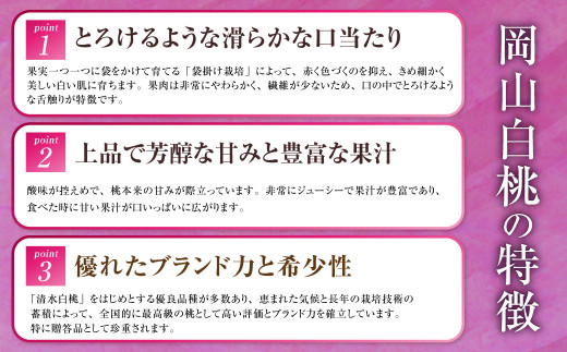岡山県産 岡山白桃 エース 3Lサイズ 約300g×2玉・シャインマスカット 晴王 約600g×1房 詰合せ 【2026年7月上旬～8月下旬発送予定】 白桃 桃 もも モモ マスカット ぶどう 葡萄 ブドウ セット