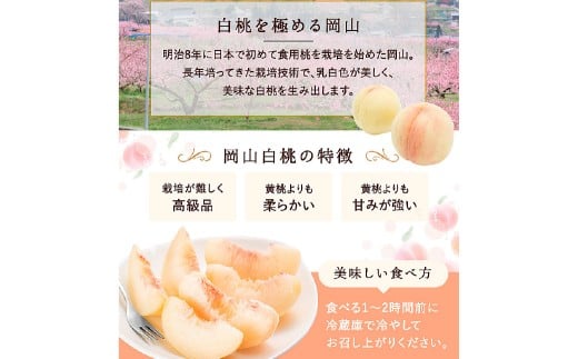 白桃 8玉（2kg以上） 等級：ロイヤル 化粧箱入り 【2026年7月上旬～8月上旬迄発送予定】 桃 モモ もも 果物 くだもの フルーツ 冷蔵 国産