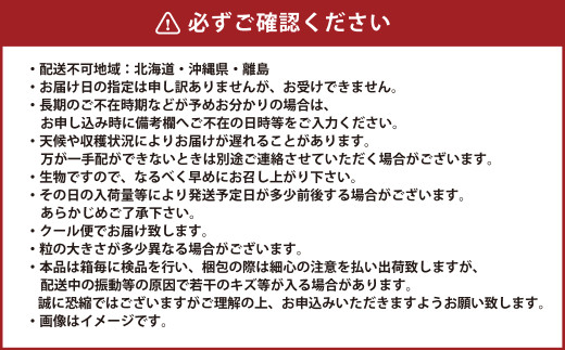 ご家庭用 岡山県産 ニューピオーネ 約1kg（500g×2房） 【2026年8月下旬～9月下旬迄発送予定】 果物 くだもの フルーツ ぶどう ブドウ 葡萄
