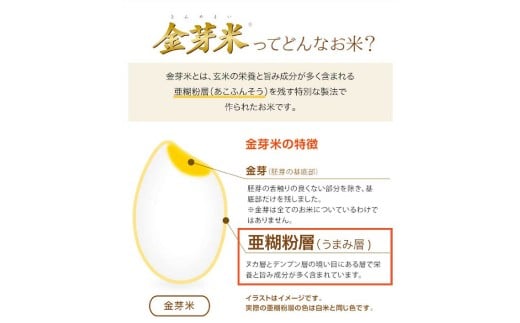 子育て応援米 【令和7年産】 那岐山麓菜の花米金芽米 （ あきたこまち ） 10kg （5kg×2袋） お米 米 金芽米 無洗米 岡山県
