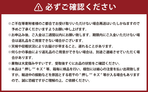 瀬戸ジャイアンツ 2房（1房480g以上） 合計約1kg 化粧箱入り 【2026年9月上旬～10月上旬迄発送予定】 白ぶどう 葡萄 ブドウ ぶどう フルーツ 果物 ギフト 国産 岡山県産