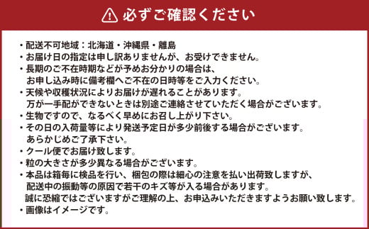 岡山県産 マスカットオブアレキサンドリア 約700g（700g×1房） 【2026年8月下旬～9月下旬迄発送予定】 果物 くだもの フルーツ ぶどう ブドウ 葡萄 マスカット
