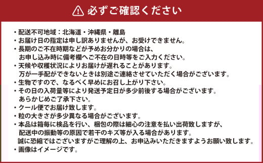 岡山県産 ニューピオーネ 約1.5kg（3房～6房） 【2026年8月下旬～9月下旬迄発送予定】 果物 くだもの フルーツ ぶどう ブドウ 葡萄