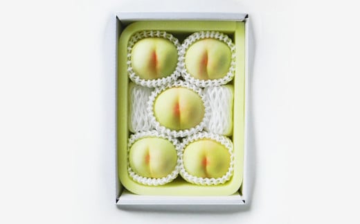 岡山 白桃 ロイヤル 5玉 （合計1.5kg以上） 化粧箱入り 【2025年7月上旬～8月上旬迄発送予定】 はくとう モモ もも 桃 フルーツ 果物 くだもの 冷蔵