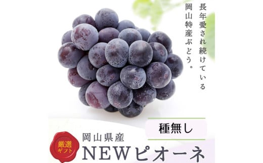 詰合 ニューピオーネ 2房 シャインマスカット 晴王 2房（1房各480g以上）計1.92kg以上 化粧箱入り 【2026年9月上旬～10月上旬迄発送予定】 ぶどう ブドウ 葡萄 マスカット ピオーネ 種なし 果物 くだもの フルーツ セット 冷蔵 国産