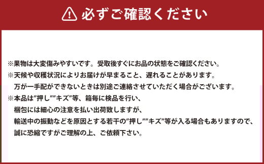 岡山県産 ニューピオーネ 2房（1房600g以上） 化粧箱入り 【2026年8月下旬～10月上旬迄発送予定】 果物 くだもの フルーツ ぶどう ブドウ 葡萄 岡山 おかやま 国産 冷蔵
