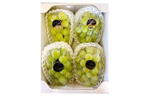 ぶどう 2026年 先行予約 シャイン マスカット 3～4房 合計2kg以上 ブドウ 葡萄 岡山県産 国産 フルーツ 果物 ギフト 河本農園 【2026年9月上旬～9月下旬発送予定】