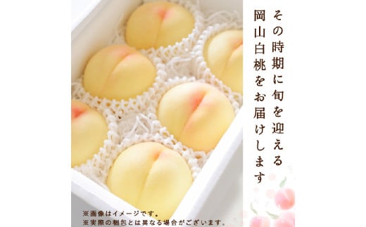 白桃 6玉（1.5kg以上） 等級：ロイヤル 化粧箱入り 【2026年7月上旬～8月上旬迄発送予定】 桃 モモ もも 果物 くだもの フルーツ 冷蔵 国産
