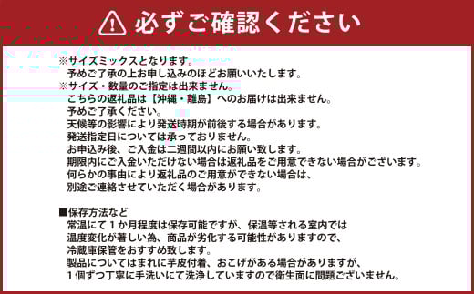 特選 作州横仙蜜芋 土付き 紅はるか 約2.8kg以上 【2025年7月上旬迄発送予定】 蜜芋 蜜いも 芋 いも サツマイモ さつま芋 薩摩芋 さつまいも 国産