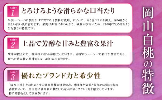 岡山県産 岡山白桃 エース 2Lサイズ 約250g×2玉・シャインマスカット 晴王 約500g×1房 詰合せ 【2026年7月上旬～8月下旬発送予定】 白桃 桃 もも モモ マスカット ぶどう 葡萄 ブドウ セット