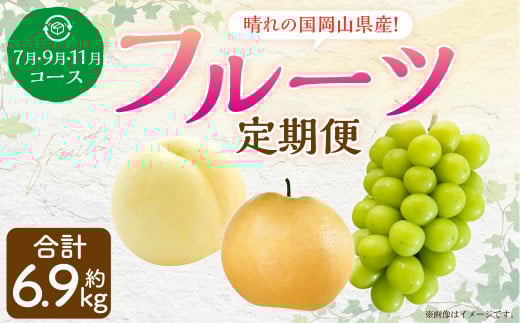 【3回定期便】岡山県産 フルーツ定期便コース （白桃・ 晴王・あたご梨） 計約6.9kg 【2025年7月上旬発送開始】 白桃 桃 もも シャインマスカット 晴王 ぶどう 葡萄 マスカット あたご 梨 なし フルーツ 果物 くだもの 岡山