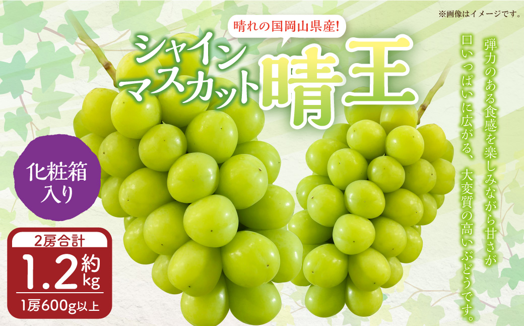 岡山県産 シャインマスカット 『晴王』 2房 （1房600g以上） 化粧箱入り 【2025年8月下旬～10月上旬迄発送予定】 果物 くだもの フルーツ ぶどう ブドウ 葡萄 マスカット 岡山 おかやま 国産 冷蔵