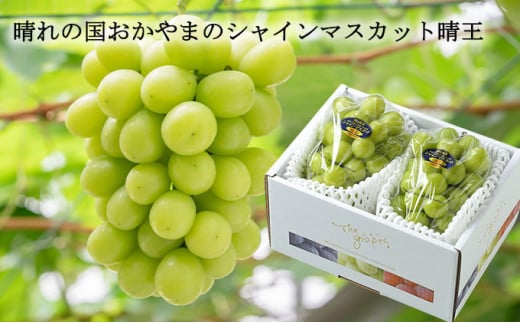シャインマスカット 晴王 約500g×2房 計約1kg