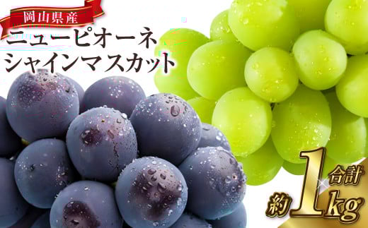 岡山県産 シャインマスカット晴王 ＆ ニューピオーネ 約500g×各1房 計1kg（2房） 【2025年8月上旬～10月上旬迄発送予定】 岡山 大粒 マスカット 果物 くだもの フルーツ ぶどう ブドウ 葡萄 種無し 種なし