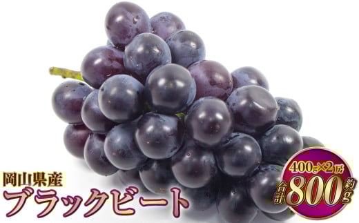 岡山県産 ブラックビート 約800g（約400g×2房）【2026年8月上旬～9月上旬発送予定】 ぶどう ブドウ 葡萄