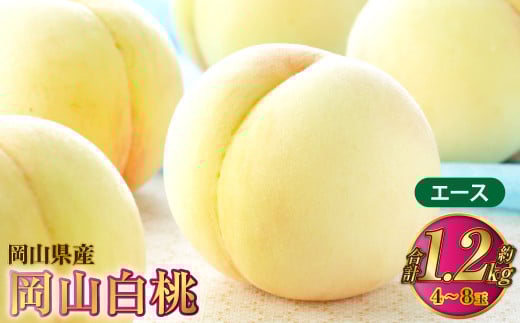 岡山白桃 エース 4～8玉 約1.2kg 岡山県産【2026年7月上旬～8月下旬発送予定】 白桃 桃 もも モモ