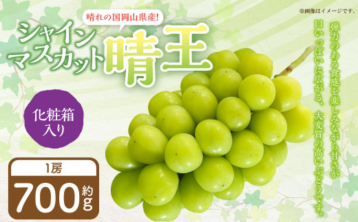 岡山県産 シャインマスカット 『晴王』 1房 （700g以上） 化粧箱入り 【2026年8月下旬～10月上旬迄発送予定】 果物 くだもの フルーツ ぶどう ブドウ 葡萄 マスカット 岡山 おかやま 国産 冷蔵