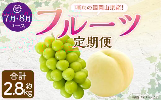 【2回定期便】岡山県産 フルーツ定期便コース （白桃・ 晴王） 計約2.8kg 【2026年7月上旬発送開始】 白桃 桃 もも シャインマスカット 晴王 ぶどう 葡萄 マスカット フルーツ 果物 くだもの 岡山