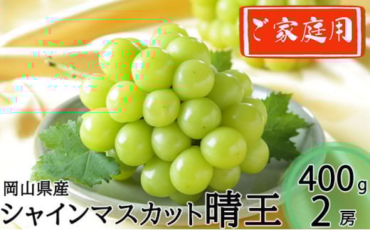 ご家庭用 シャインマスカット 晴王 約400g×2房 計約800g 【2026年8月下旬～11月下旬迄発送】 岡山 種無し 種なし マスカット 果物 くだもの フルーツ ぶどう ブドウ 葡萄 冷蔵