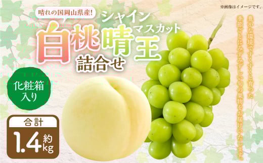 詰合 白桃 2玉 （1玉220g以上） シャインマスカット晴王 2房 （1房480g以上） 化粧箱入り 【2026年7月下旬～8月上旬迄発送予定】 果物 くだもの フルーツ 桃 もも モモ ぶどう ブドウ 葡萄 マスカット 詰合せ 詰め合わせ 岡山 おかやま 国産 冷蔵