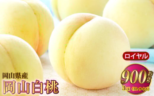 岡山白桃 ロイヤル 3玉×約300g（3Lサイズ） 計約900g 岡山県産【2026年7月上旬～8月下旬発送予定】 白桃 桃 もも モモ