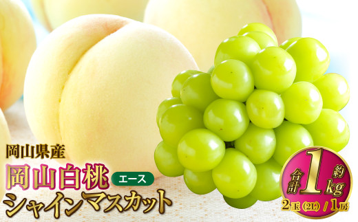 岡山県産 岡山白桃 エース 2Lサイズ 約250g×2玉・シャインマスカット 晴王 約500g×1房 詰合せ 【2026年7月上旬～8月下旬発送予定】 白桃 桃 もも モモ マスカット ぶどう 葡萄 ブドウ セット