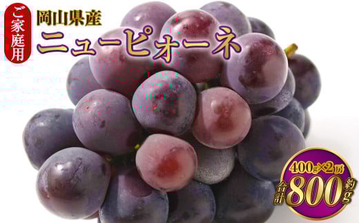 ご家庭用 岡山県産 ニューピオーネ 約800g（400g×2房） 【2026年8月下旬～9月下旬迄発送予定】 果物 くだもの フルーツ ぶどう ブドウ 葡萄