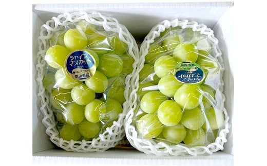 ぶどう 2026年 先行予約 シャイン マスカット 2房 合計1.4kg以上 ブドウ 葡萄 岡山県産 国産 フルーツ 果物 ギフト 河本農園 【2026年9月上旬～9月下旬発送予定】