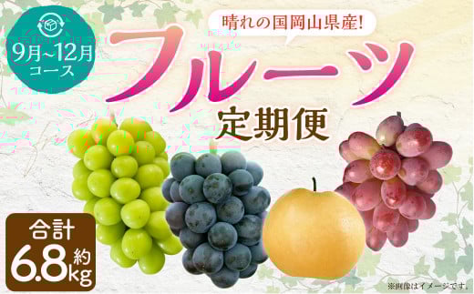 【4回定期便】 岡山県産 フルーツ定期便コース 計約6.8kg 【2026年9月上旬発送開始】 ニューピオーネ 瀬戸ジャイアンツ シャインマスカット 晴王 マスカット ぶどう 葡萄 紫苑 あたご 梨 なし フルーツ 果物 くだもの 岡山