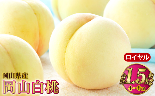 岡山白桃 ロイヤル 4～8玉 約1.5kg 岡山県産【2026年7月上旬～8月下旬発送予定】 白桃 桃 もも モモ
