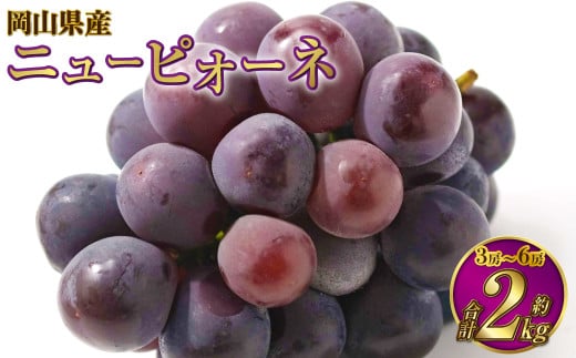 岡山県産 ニューピオーネ 約2kg（3房～6房） 【2026年6月下旬～7月下旬発送予定】 ピオーネ ぶどう 葡萄 ブドウ 種なし