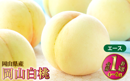 岡山白桃 エース 4～6玉 約1kg 岡山県産【2026年7月上旬～8月下旬発送予定】 白桃 桃 もも モモ