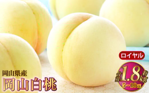 岡山白桃 ロイヤル 5～10玉 約1.8kg 岡山県産【2026年7月上旬～8月下旬発送予定】 白桃 桃 もも モモ