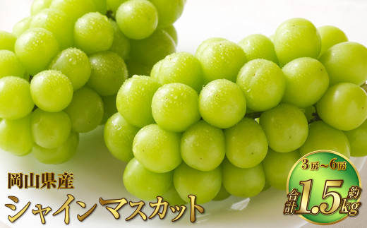 岡山県産 シャインマスカット 晴王 約1.5kg（3房～6房） 果物 フルーツ くだもの ぶどう ブドウ 葡萄 マスカット 種なし 種無し 冷蔵 国産 奈義町 【2026年7月上旬～8月下旬発送予定】