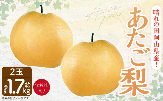 岡山県産 あたご梨 2玉 （約1.7kg） 化粧箱入り 【2026年11月下旬～12月下旬発送予定】 果物 くだもの フルーツ 梨 なし 贈答 ギフト 岡山 大玉
