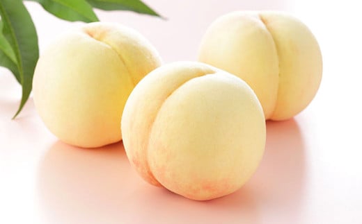 岡山 白桃 ロイヤル 4～8玉 計約1.2kg 岡山県産 【2026年7月上旬～8月下旬迄発送予定】 フルーツ 果物 くだもの モモ 桃 もも 冷蔵 国産