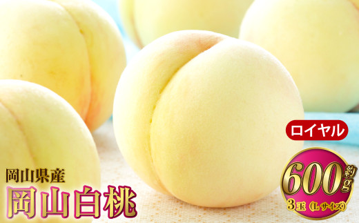 岡山白桃 ロイヤル 3玉×約200g（Lサイズ） 計約600g 岡山県産【2026年7月上旬～8月下旬発送予定】 白桃 桃 もも モモ