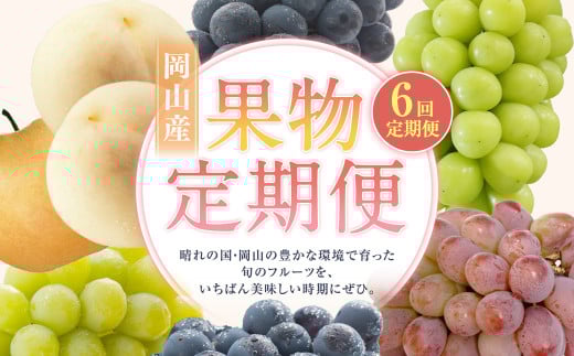 【6回定期便】 白桃 マスカットオブアレキサンドリア 桃太郎ぶどう ニューピオーネ 晴王 紫苑 あたご梨 【2025年7月上旬より順次発送開始】 桃 もも 葡萄 ブドウ ぶどう なし フルーツ 果物 ギフト 国産 岡山県産