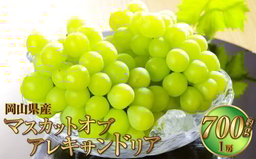 岡山県産 マスカット・オブ・アレキサンドリア 約700g（1房） 果物 フルーツ くだもの ぶどう ブドウ 葡萄 マスカット 冷蔵 国産 奈義町 【2026年6月下旬～7月下旬発送予定】