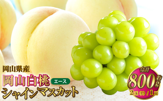 岡山県産 岡山白桃 エース Lサイズ 約200g×2玉・シャインマスカット 晴王 約400g×1房 詰合せ 【2026年7月上旬～8月下旬発送予定】 白桃 桃 もも モモ マスカット ぶどう 葡萄 ブドウ セット