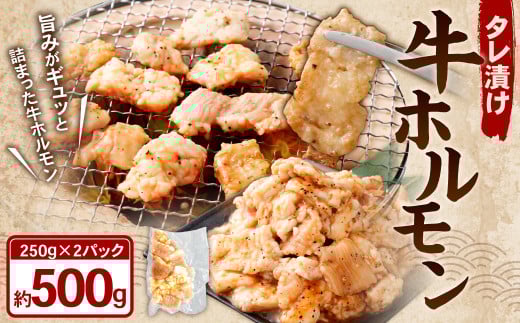 タレ漬け 牛ホルモン 250g×2パック （計500g） 牛肉 牛 お肉 肉 たれ タレ ホルモン 焼き肉 焼肉 小分け 冷凍