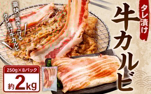 タレ漬け 牛カルビ 2.0kg （250g×8パック） 牛肉 牛 お肉 肉 たれ タレ カルビ 焼き肉 焼肉 小分け 冷凍