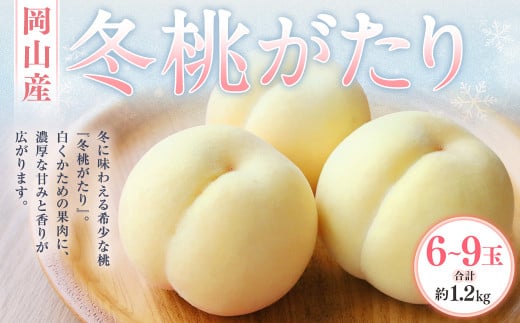 冬桃がたり 6～9玉（合計約1.2kg） 化粧箱入り 【2026年11月下旬～12月下旬迄発送予定】 モモ もも 桃 フルーツ 果物 ギフト 国産 岡山県産
