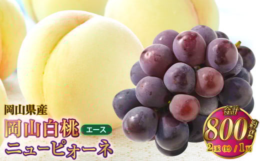岡山県産 岡山白桃 エース Lサイズ 約200g×2玉・ニューピオーネ 約400g×1房 詰合せ 【2026年7月上旬～8月下旬発送予定】 白桃 桃 もも モモ ピオーネ ぶどう 葡萄 ブドウ セット