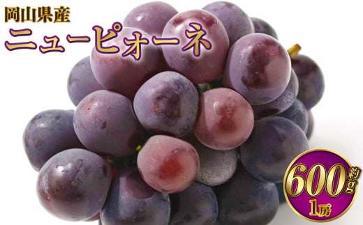 岡山県産 ニューピオーネ 約600g（600g×1房） 【2026年8月下旬～9月下旬迄発送予定】 果物 くだもの フルーツ ぶどう ブドウ 葡萄